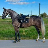 По запросу 