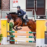 МЕРИН НА МАРШРУТЫ ДО 105 СМ