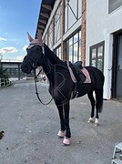 В ВЫЕЗДКУ