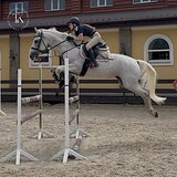 МЕРИН НА МАРШРУТЫ ДО 120 СМ