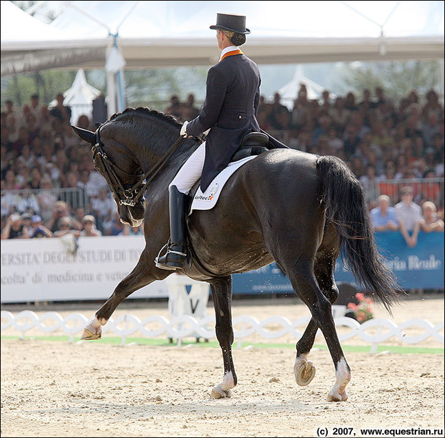 Van Grunsven,Anky NED/Keltec Salinero     