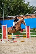 Высокий, красивый