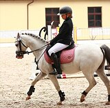 ПОНИ ИМПОРТ