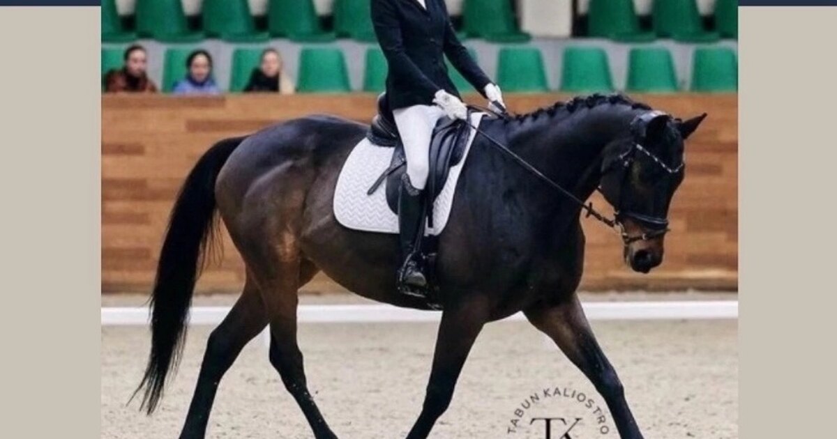 Группа кармен состав. Кристофер рив в тайнах смолвиля. Сергей лемох в молодости. Супермен марвел. Кларк кент марвел.