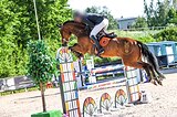 Мерин / маршруты 120