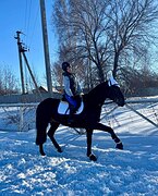 Срочно! Детский мерин 