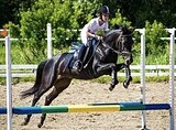 ПОНИ-КЛАСС В КОНКУР
