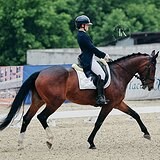 КОБЫЛА 170 СМ В ХОЛКЕ НА МП