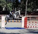 САМОВОЗ ДО 110