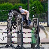 МЕРИН НА МАРШРУТЫ 120 СМ