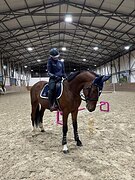 Под любого всадника 