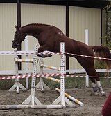 ВЫСОКАЯ МОЛОДАЯ УВП