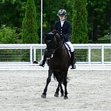 Выездковая кобыла под ребё