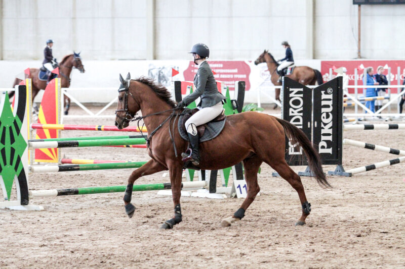 КАССИО-15 и Михайлова Диана