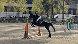 Идеальный учитель 2017 гр