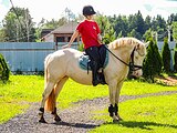 Пони 145 вх в спорт