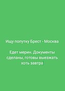 Ищу попутку Брест-Москва