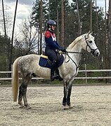 МЕРИН ПОД РЕБЕНКА