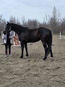 перспективна в спорт