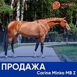 Carine Minka MB Z (Карен Минка)