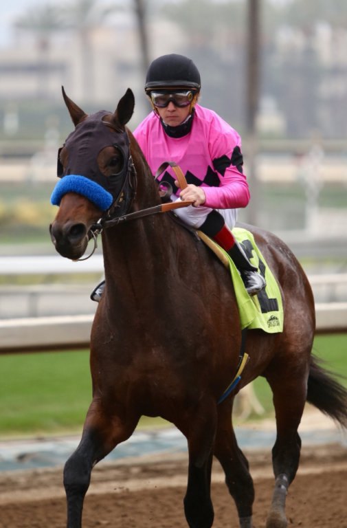 Santa Anita Park 2018 год.