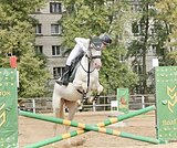 В конкур 60-80 , под ребёнка