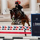 ГАННОВЕРСКАЯ КОБЫЛА 6 ЛЕТ