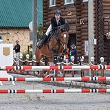 ВЕСТФАЛЬСКАЯ КОБЫЛА