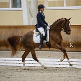  ПЕРСПЕКТИВЕН НА БП