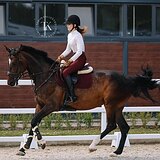 ПРАВНУЧКА CASSINI 8 ЛЕТ 