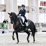 КЮР СП1 65%, ЭЛЕМЕНТЫ БП