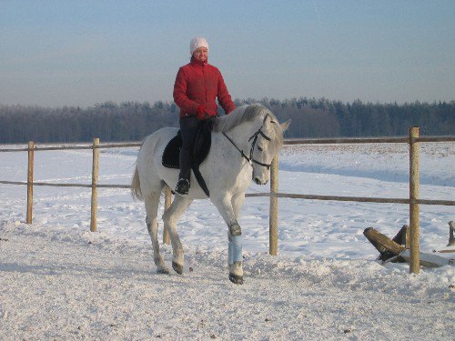 КСК"Аллюр"(СПб)