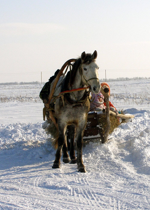 В деревне