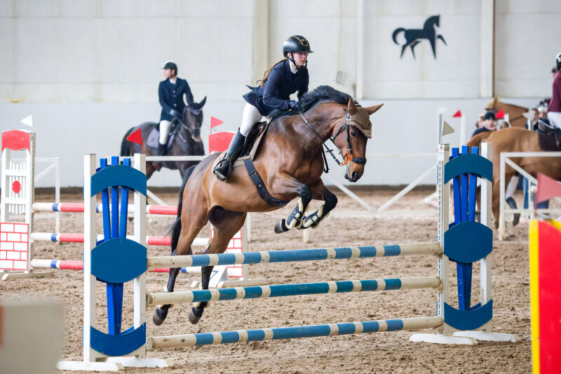 КОЛИБРИ-19 и Мельник Полина