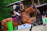 Кобыла 2016 гр, 167 вх