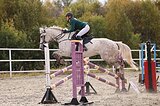 Мерин 2017 г.р.