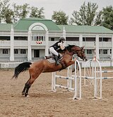 В КОНКУР • ПОД РЕБЕНКА