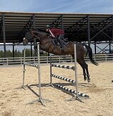 УЧИТЕЛЬ В КОНКУР