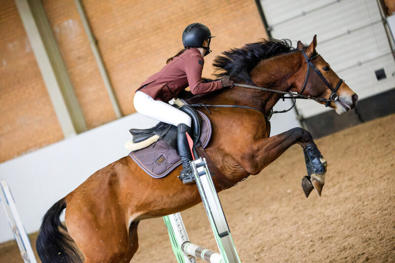 НОРД АМАРОК КУ АШ-18 и Беркос Наталья 110