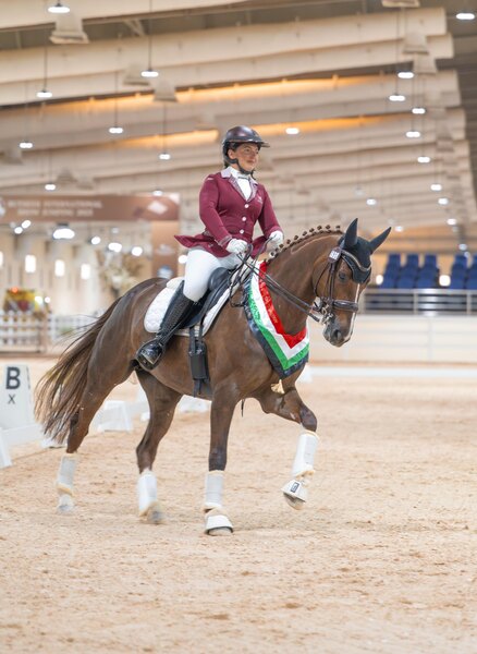 Елизавета Минина / Hands Up
