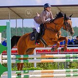 БУДЕННОВСКАЯ КОБЫЛА 7 ЛЕТ