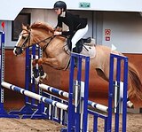 ПОНИ В СПОРТ ДЛЯ ПОБЕД 