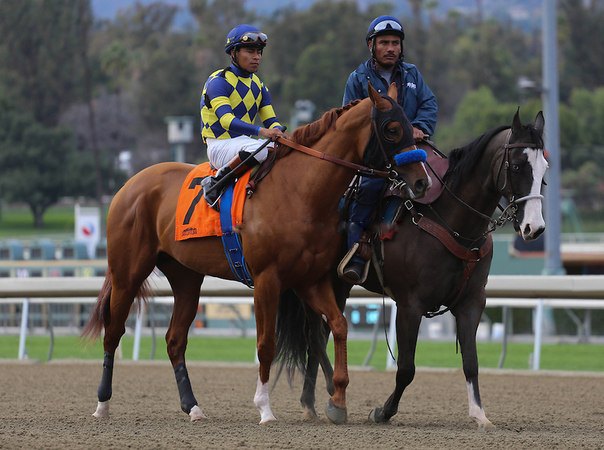 Ипподром Santa Anita 2014 год, скачка Robert B. Lewis Stakes - Gr. 2