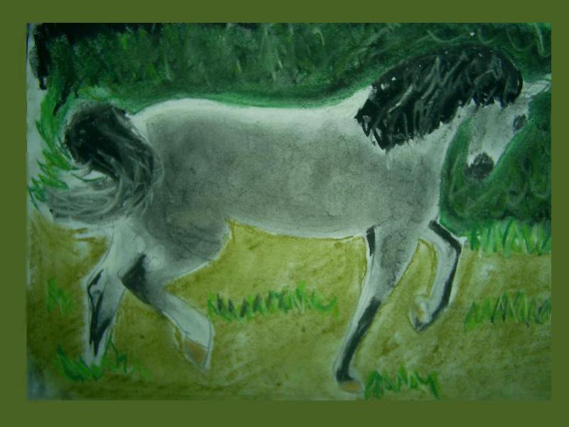 попытка срисовать лошадь с фото Елены(пузан)