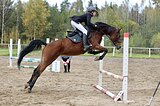Кобыла