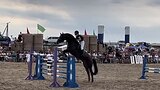 Жеребец от Сандро Бой