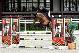 Жеребец 2018 гр