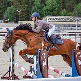 БУДЕННОВСКАЯ КОБЫЛА 7 ЛЕТ