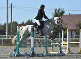 Мерин под любителя 