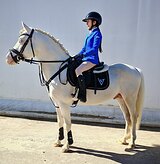 ПОНИ ДЛЯ ПОБЕД